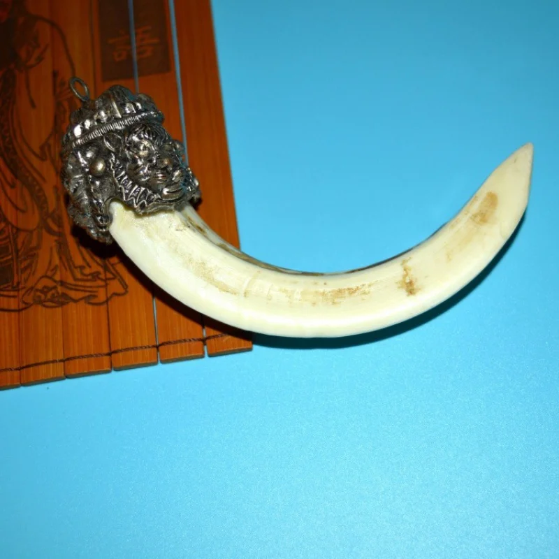 Antique Miscellaneous Wild Boar Teeth Antique Enamel Lion's Head Pack Wild Boar Teeth Ornament