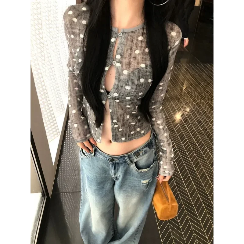 Women's Sheer Polka Dot Long Sleeve Crop Top Button Front Slim Fit Casual Blouse