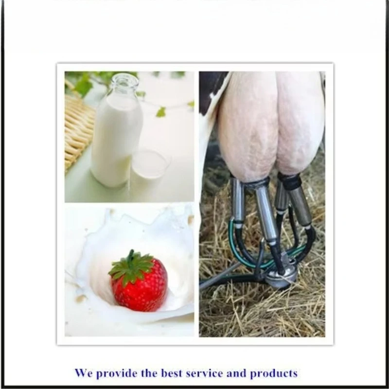 Fotografia 4: Máquina portátil de ordenha de vacas em aço inoxidável na Índia