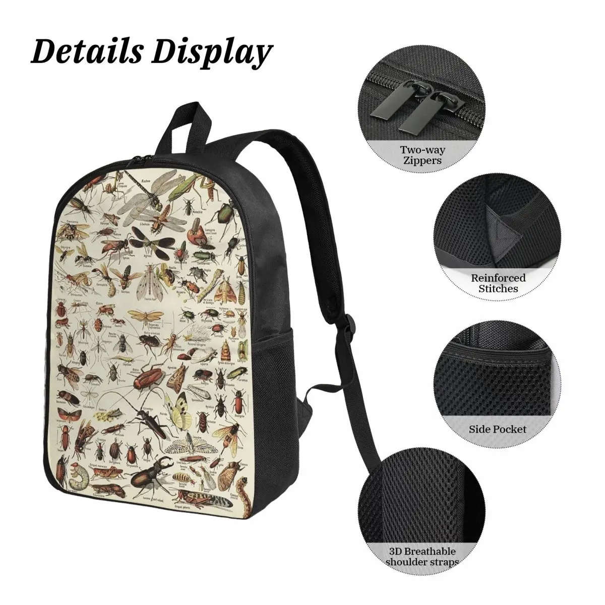 مخطط الحشرات. التوضيح العلمي، نص في حقيبة الظهر الفرنسية للأولاد والبنات حقيبة الكتب المدرسية 3ps حقيبة الغداء المعزولة مقلمة