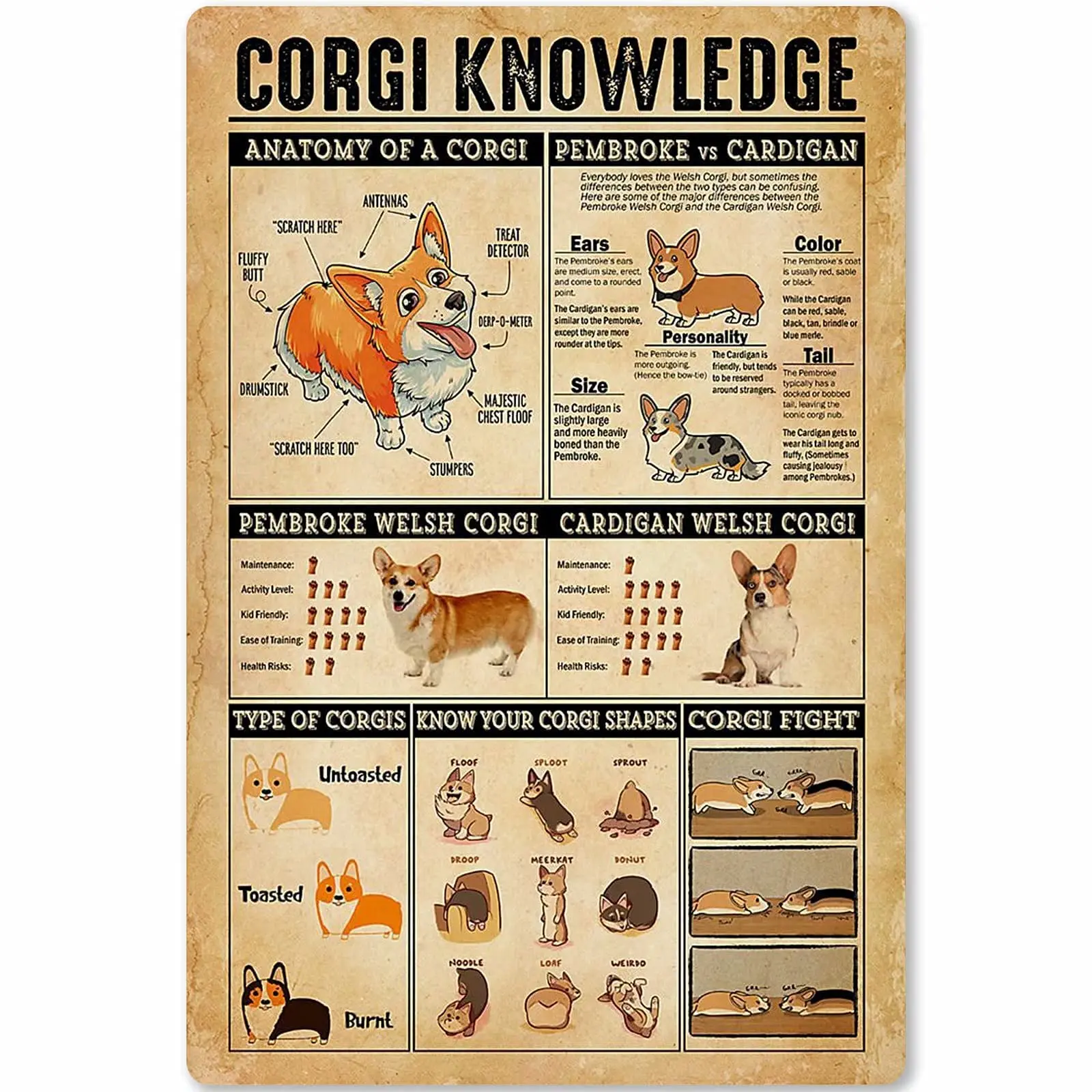 Veidsuh Corgi Knowledge Retro-Poster, Plakette für Club, Café, Bar, Zuhause, Küche, Wanddekoration