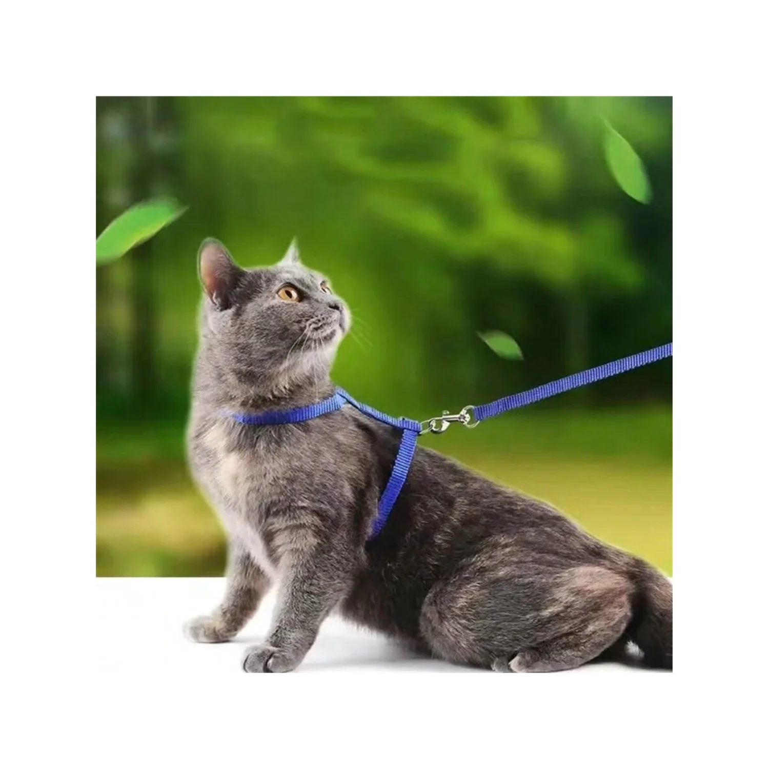 Pet Cat Harness Leash Set Chest Belt And Back Traction Rope, Multi-Color Anti-Escape Adjustable Leash For Outdoor Walking