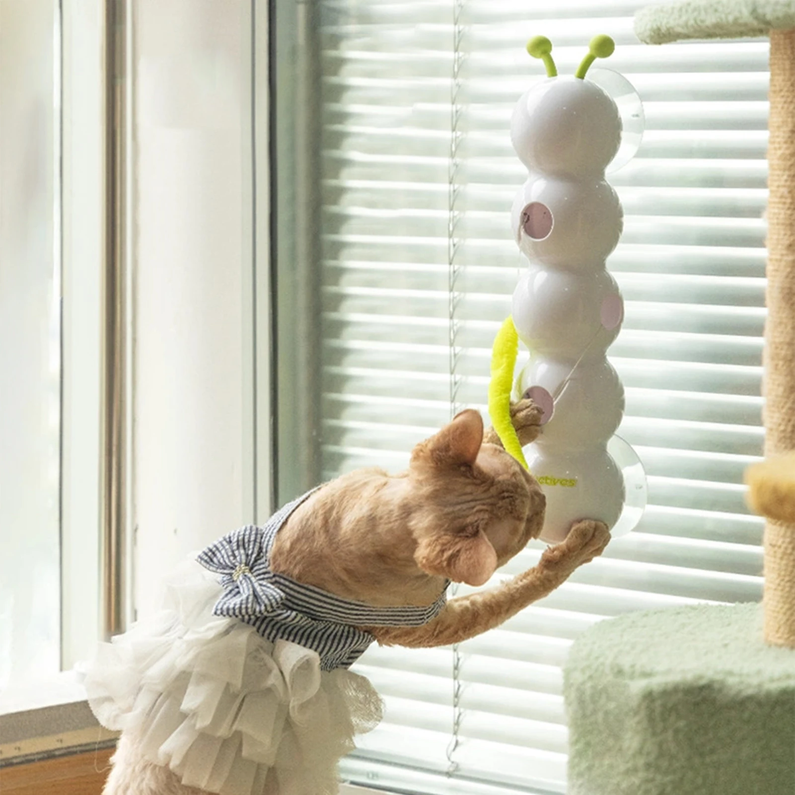 

Electric Cat Toy For Indoor Cat Suction Cup Wiggles Worm Cat Toy For Home