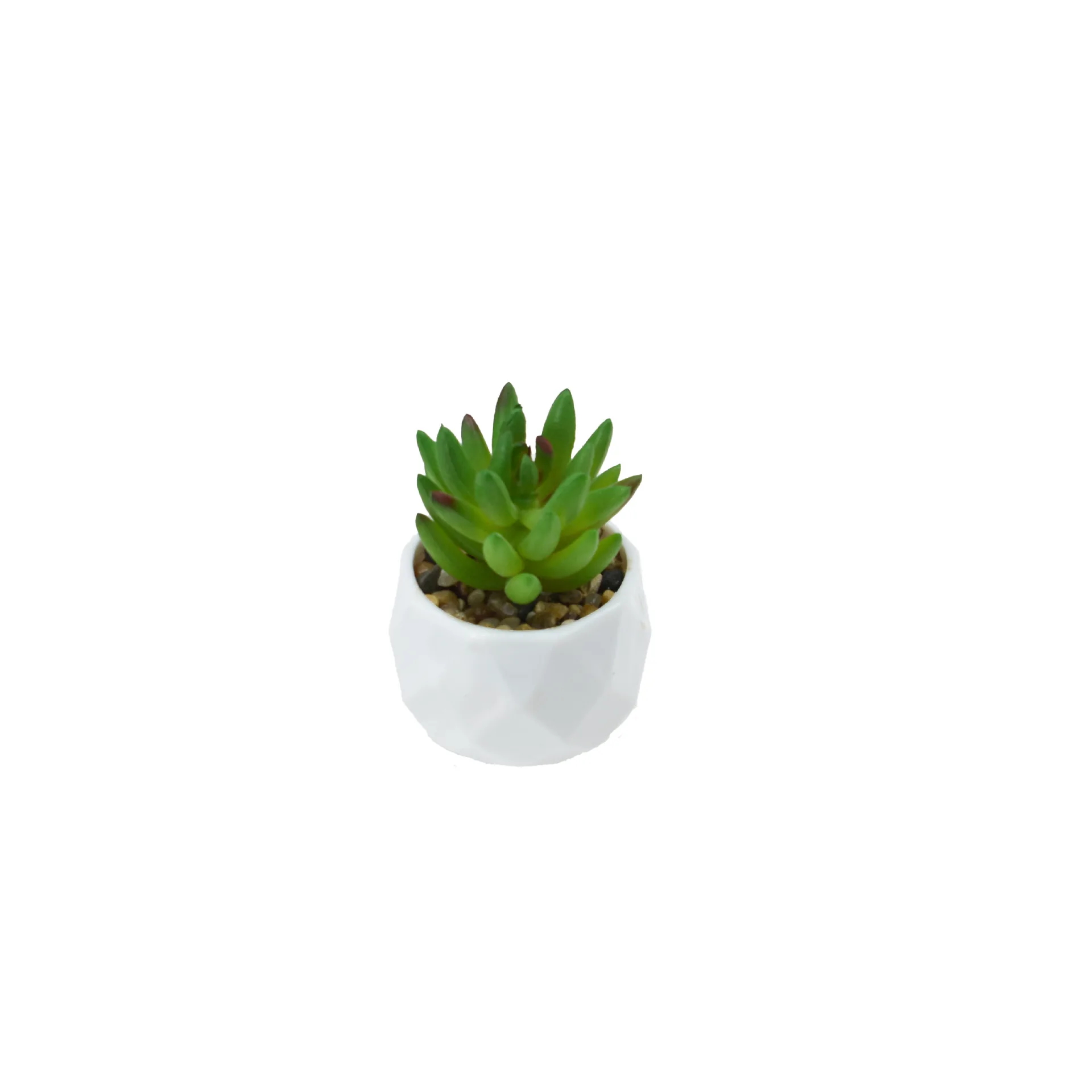 Artificial Succulent Plants Potted Assorted Decorative Faux Succulent Potted Fake Cactus Cacti Plants with Pots Decoration