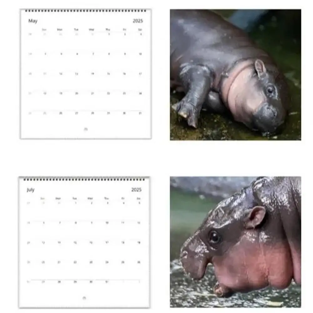 Moo Deng Calendar For 2025 | Creative Cartoon Hippopotamus Ornament, Cute Desktop Calendar Decoration |50 Page Copperplate Paper