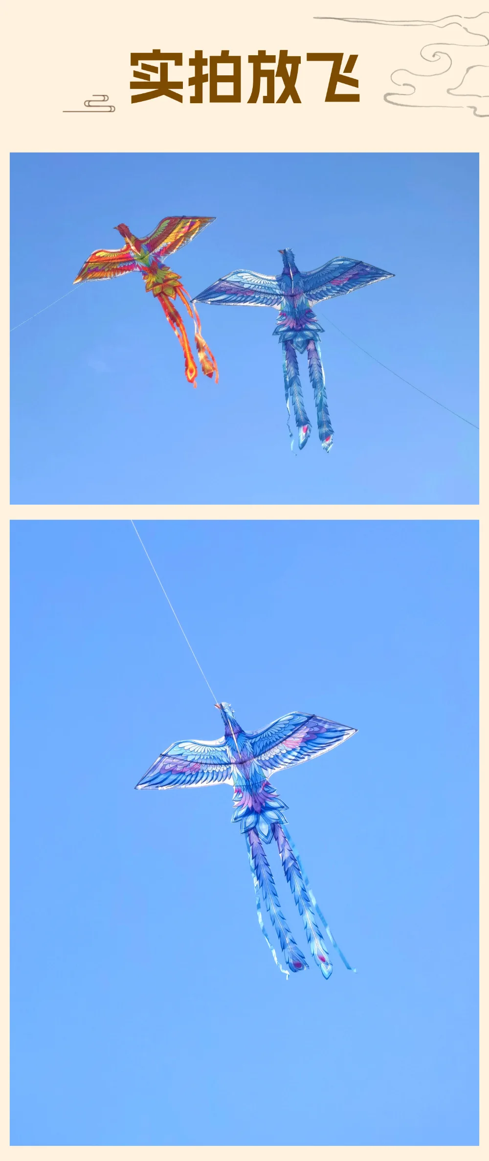 Vlieger Lente Zomer Herfst Grasland Vlieger Bries om te vliegen Kinderen Volwassen Grote Phoenix Staart Vliegers Gingang Outdoor Fun Sportspeelgoed