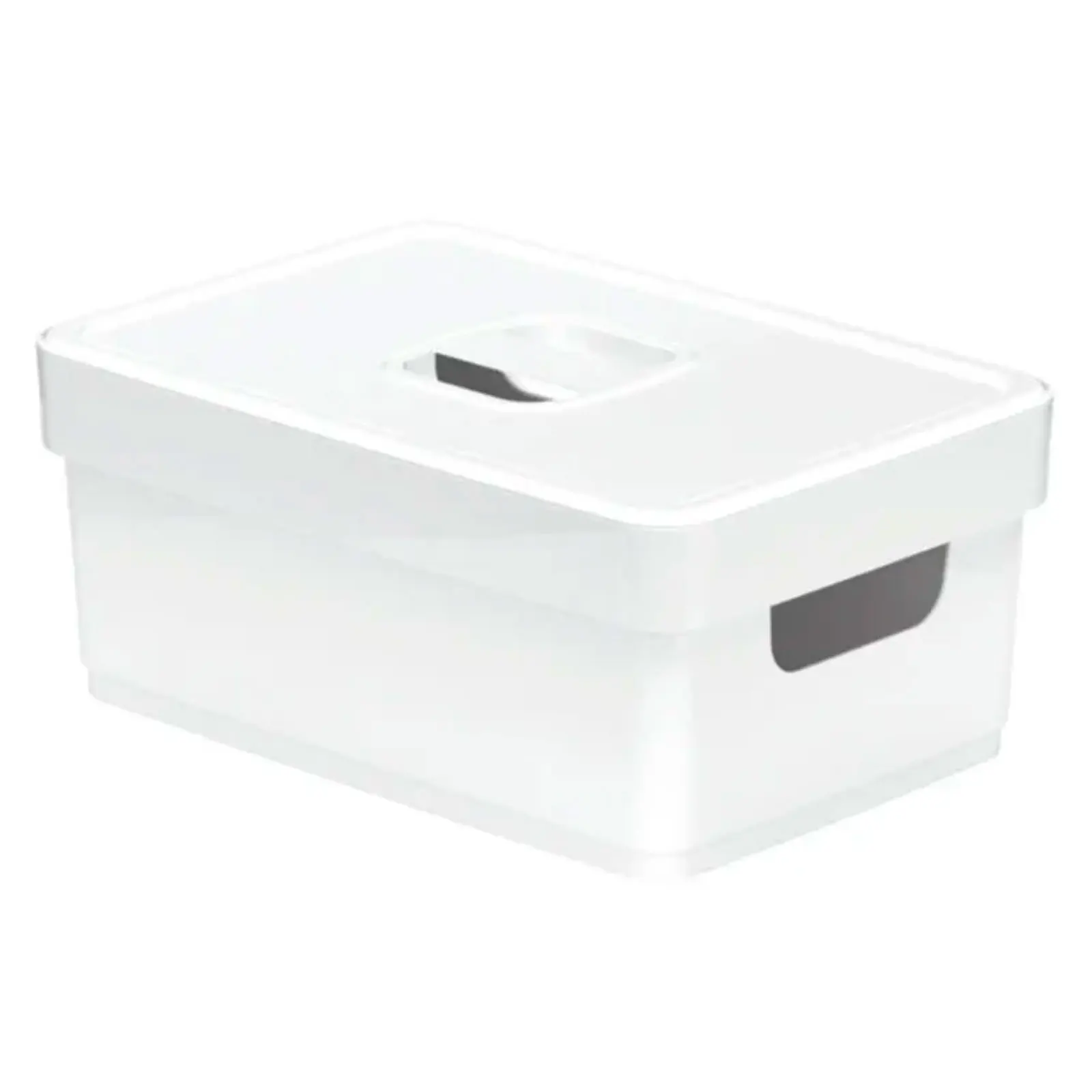 Basket Medium Resistant Plastic Lisa Organizer Box With Lid Capacity 1,5 Liter