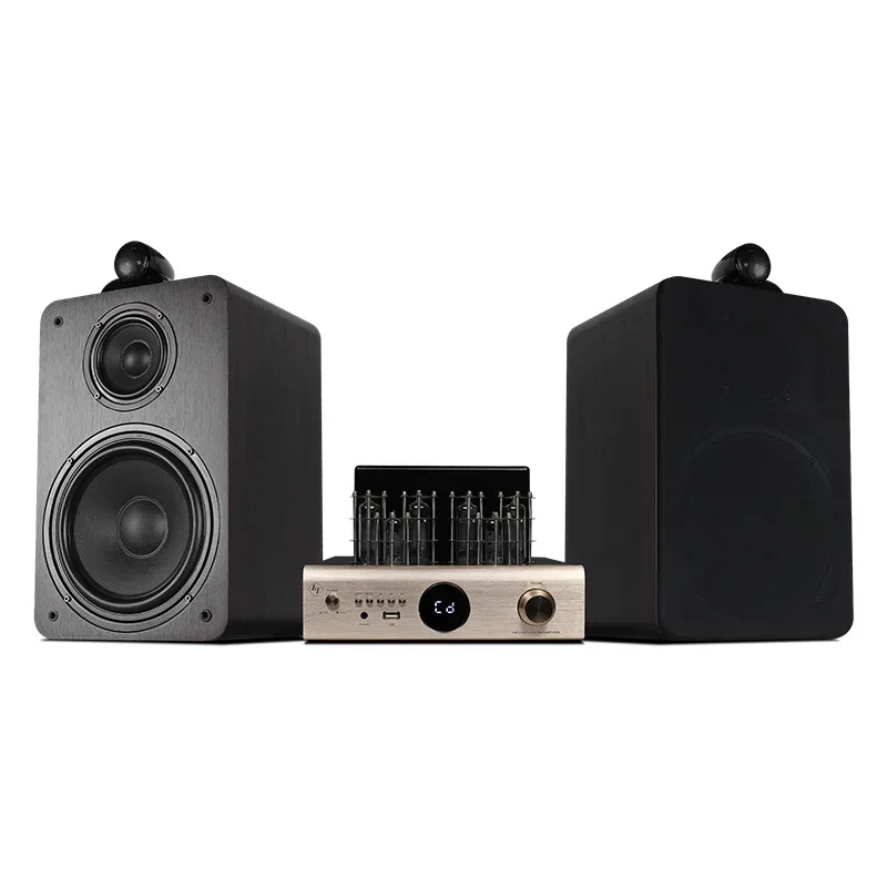 

Профессиональный усилитель мощности для аудиосистем 2-канальный 100 Вт AV-2080, ламповый усилитель