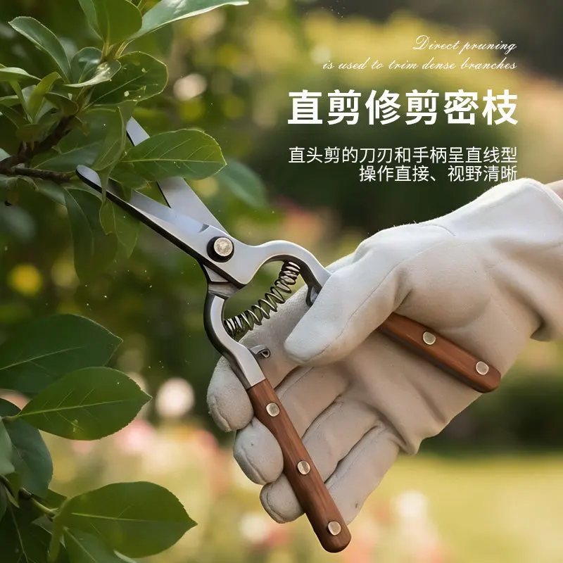 

Stainless Steel Pruning Shears Fruit Tree Shears Outdoor Fruit Picking Shears Horticulture Thin Garden