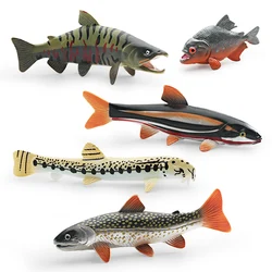 Simulation Marine Animal Cobitis Sinensis Dace Salvelinus Leucomaenis Action Figures Salmon Piranha Miniacture Educational Toys