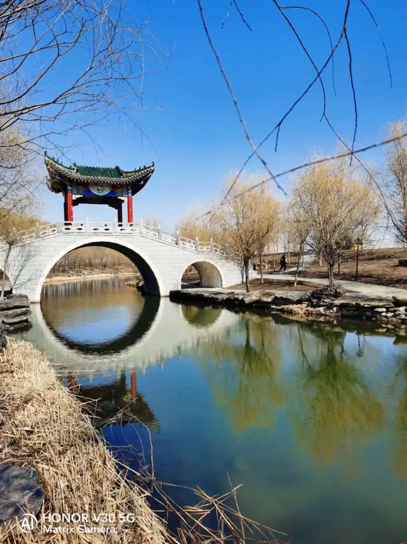 

100pcs Wine Bottle Pourer Stopper Stainless Steel Wine Liquor Spirit Pourer Free Flow Wine Bottle Pour Spout Stopper Bar Tools