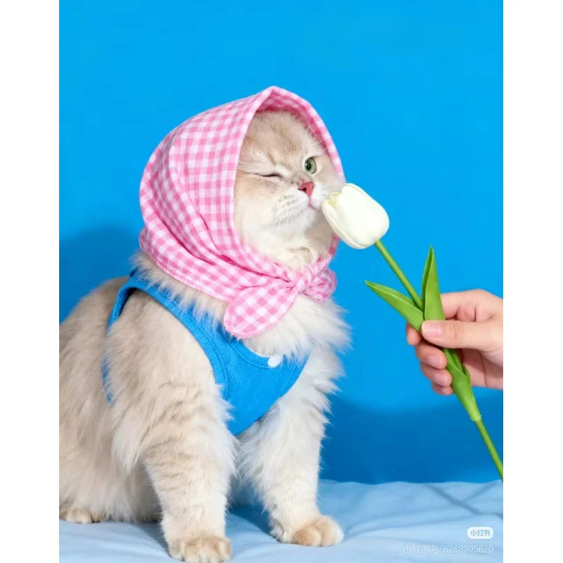 

Physiotherapy Devices Electric Radial Shockwave Therapy Ed And Pain Relief Reduce Bonesetting Gun Shockwave Therapy Machine V101