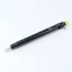 28231014 28400214 1100100-ED01 For G-reat W-all H-arvard H5H6 F-engjun gw4d20 Diesel Engine Common Rail Injector Assembly