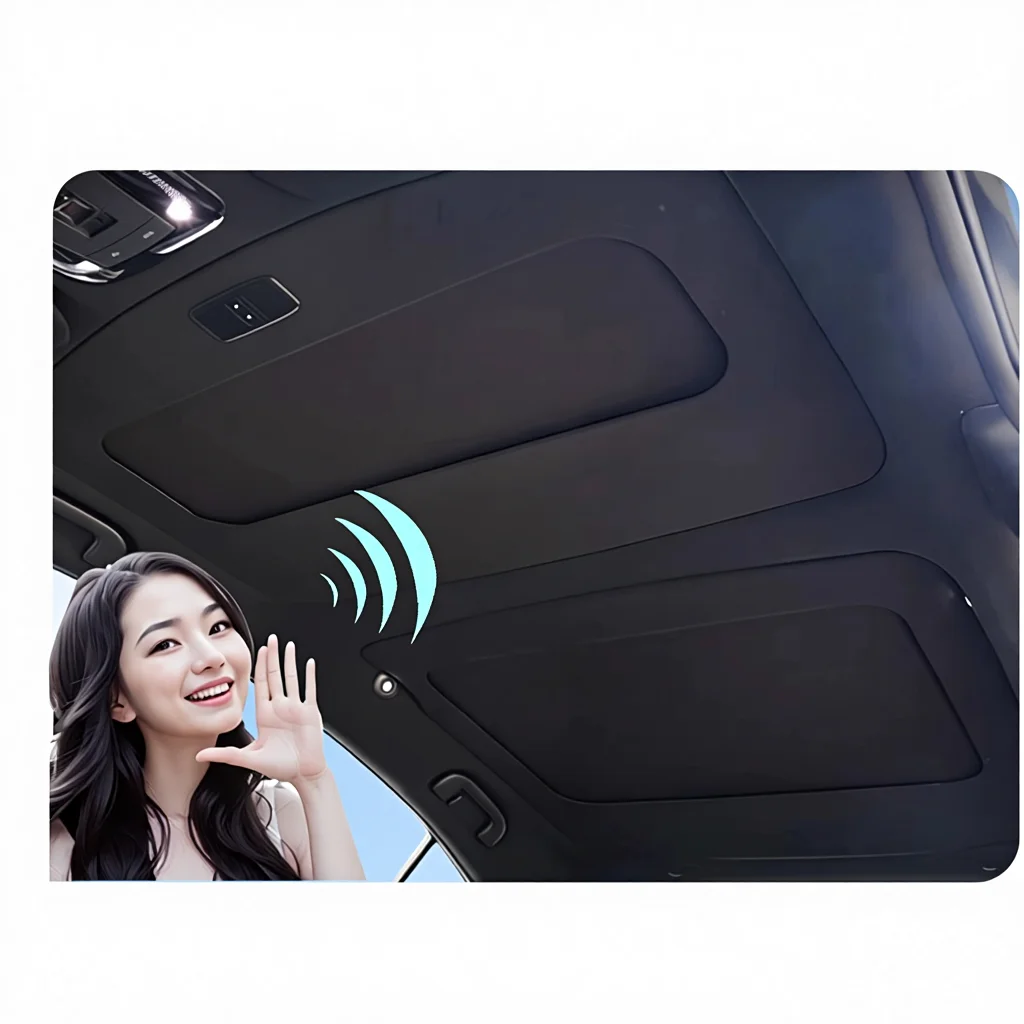 

Специальный электрический нейлоновый люк-шторка класса люкс для панорамной крыши, выдвижной, с теплоизоляцией и защитой от солнца, модифицированный навес