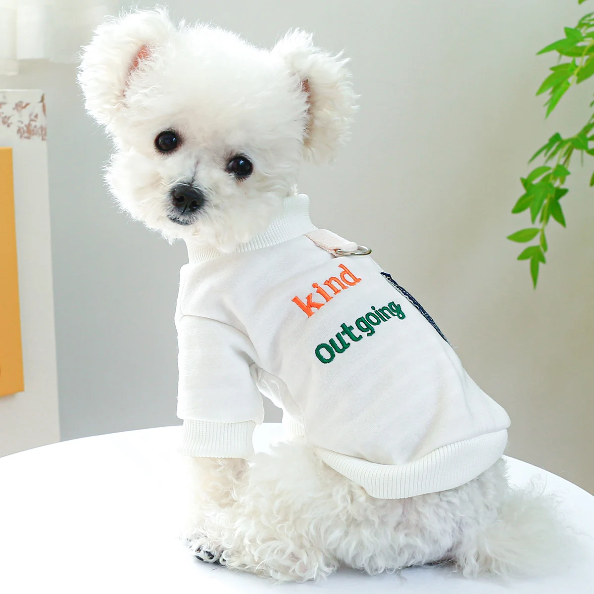 1PC Pet Clothing Dog Cat Spring Autumn Thin Fleece White Friendly Round Neck Shirt With Drawstring Buckle For Small Medium Dogs