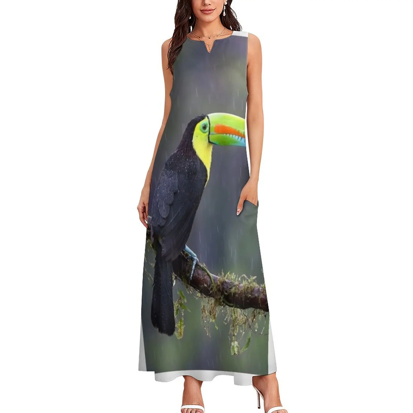 Keel-billed toucan - Costa Rica Long Dress Woman fashion dress dresses