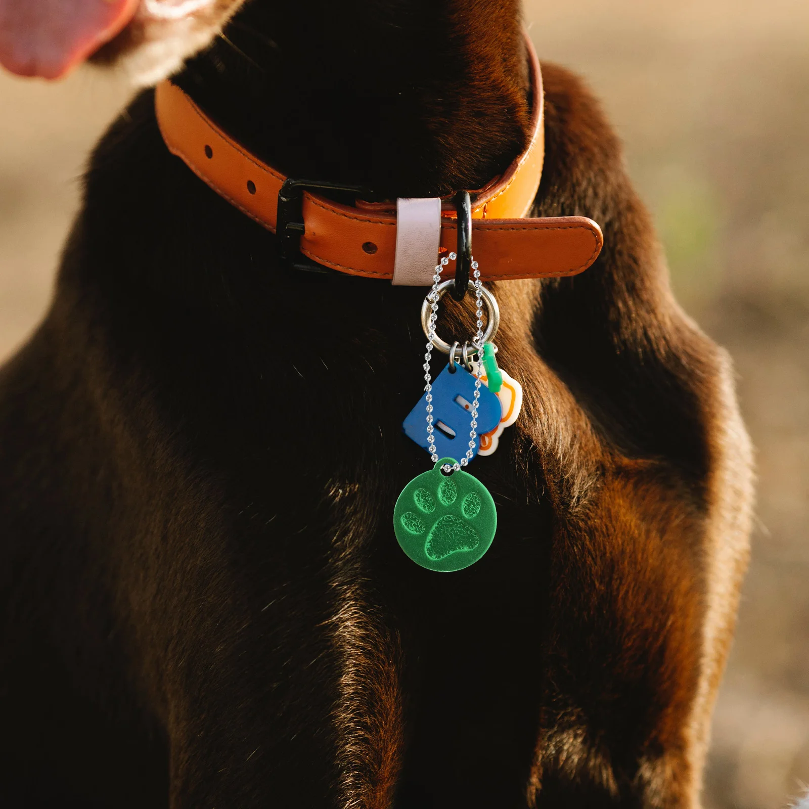 

1 Roll 10M 2.4Mm Stainless Steel Ball Durable Metal Bead For Diy Keychains Dog Tags Pendant Necklaces Jewelry Making Craft