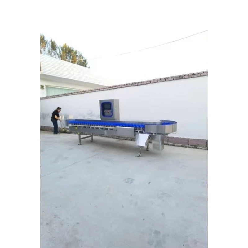Potato Mango Sort Equipment Orange Grader Fruit Automatic Shrimp Oyster Fish Sorting Machine and Grading by Weight
