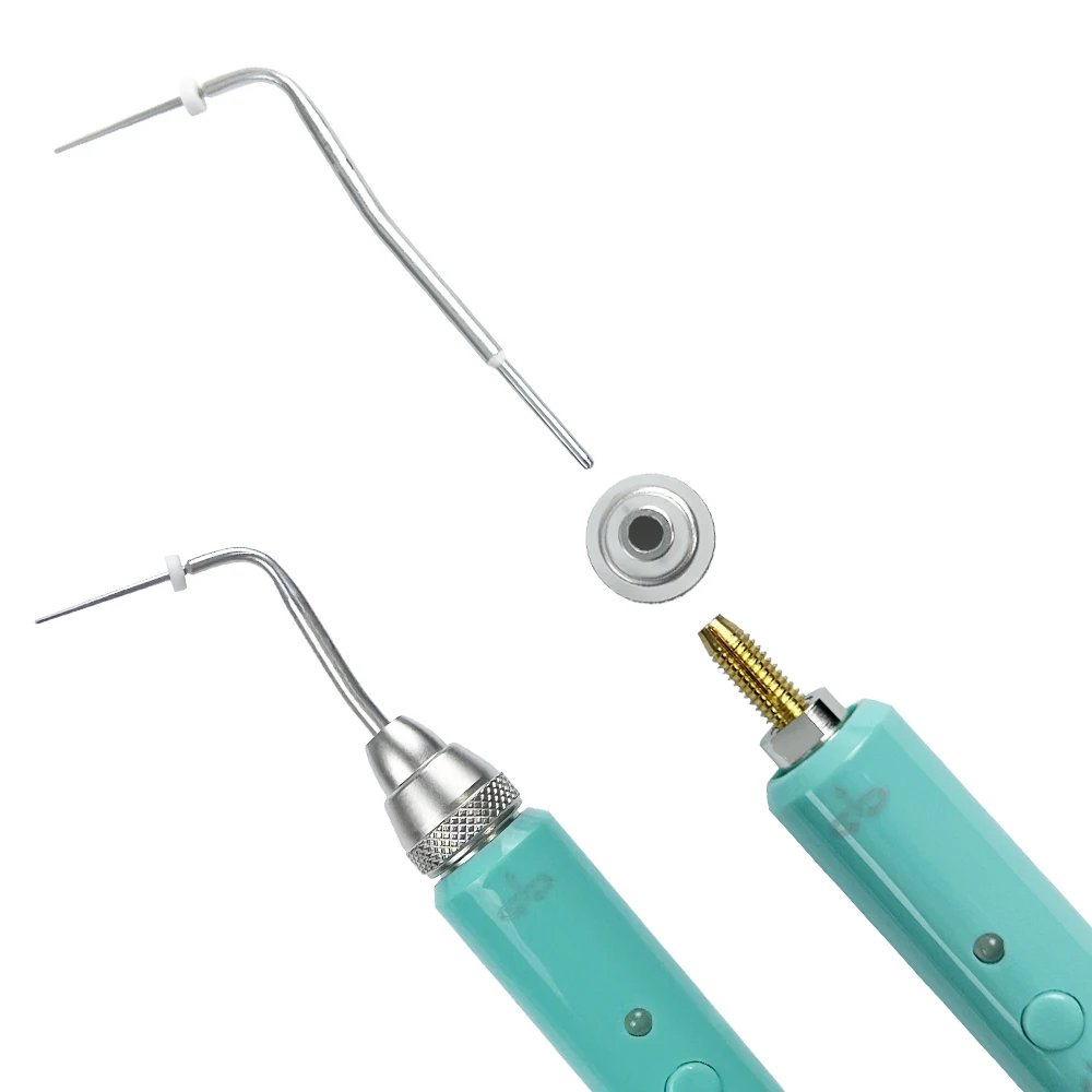 Dental Heating Pen With 2 Tips Dental Endo Obturation System Gutta Percha Obturation Pen Endodontics Root Tool