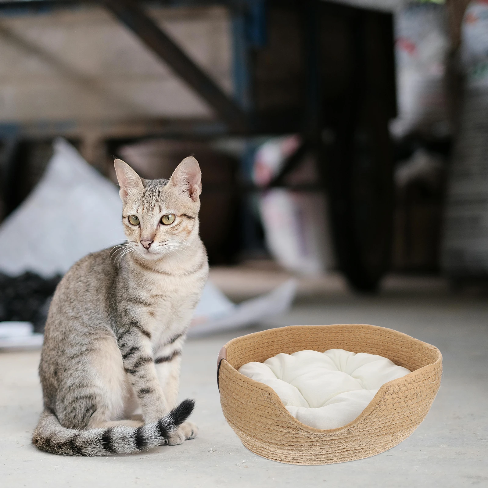 

Summer Pet Nest Woven Cat Bed Breathable Sleeping Mat For Cats Small Dogs Indoor Comfortable Pet Bed