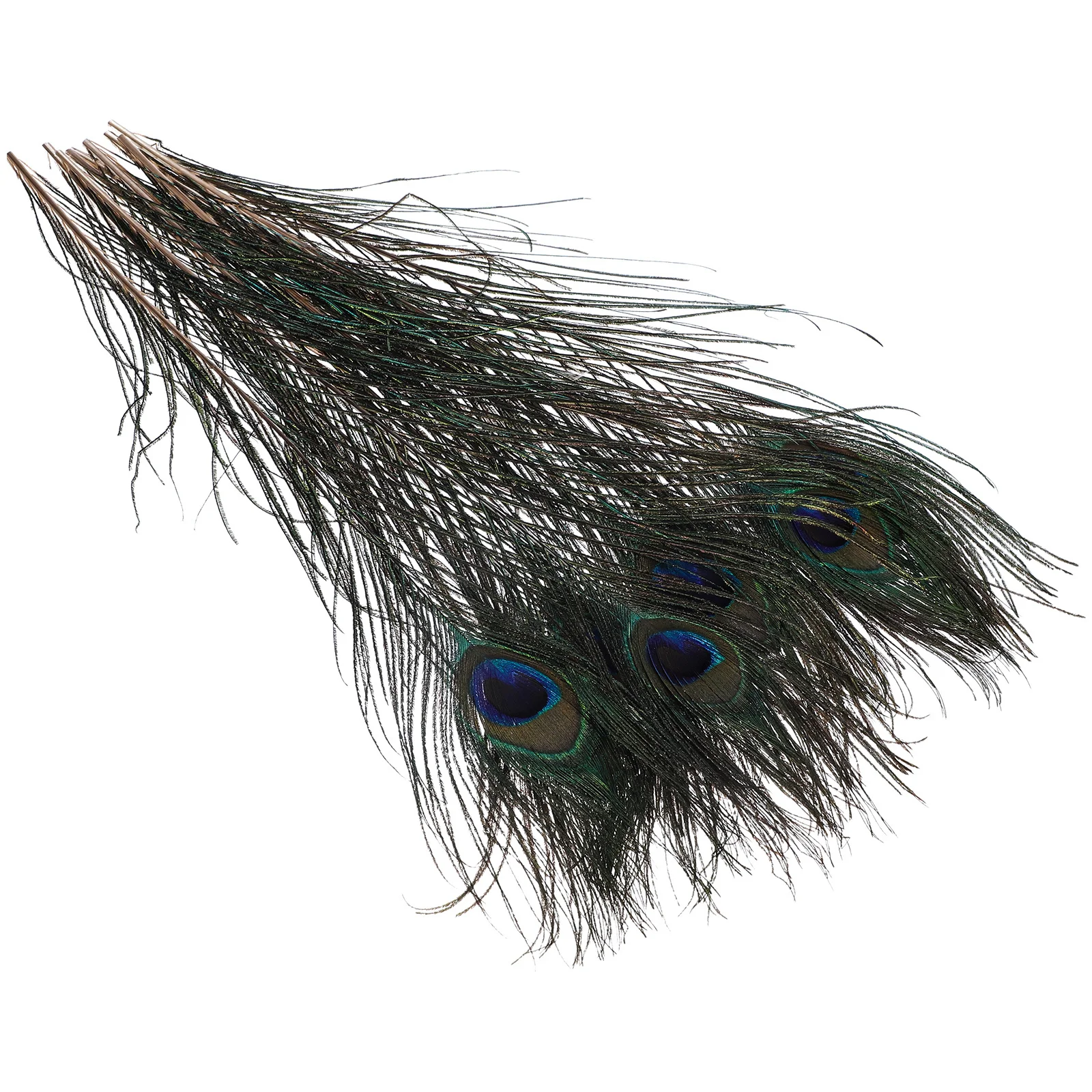 

10Pcs Natural Peacock Plumes Bright Color DIY Craft Decorations Party Wedding Centerpieces Vase Floral Arrangements