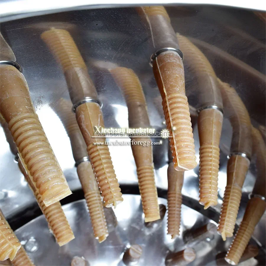 2025/chicken plucking /poultry plucker/poultry chicken slaughtering equipment