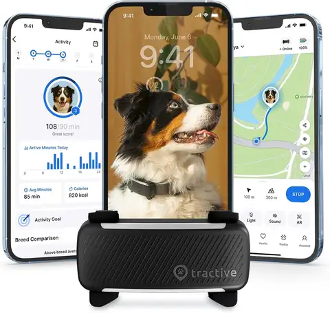 Smart GPS Dog Tracker with Live Tracking, Health Monitoring, and Virtual Fence for Pet Safety