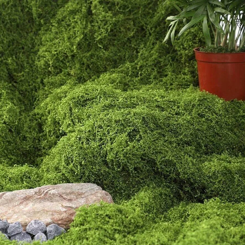 1x1m Künstliches Moos DIY-Bastelbedarf Kunstrasen Künstliches Moos Konserviertes Moos Grünpflanzen Heim Zimmer Garten Deko Landschafts-Kunstrasen – Detail 5