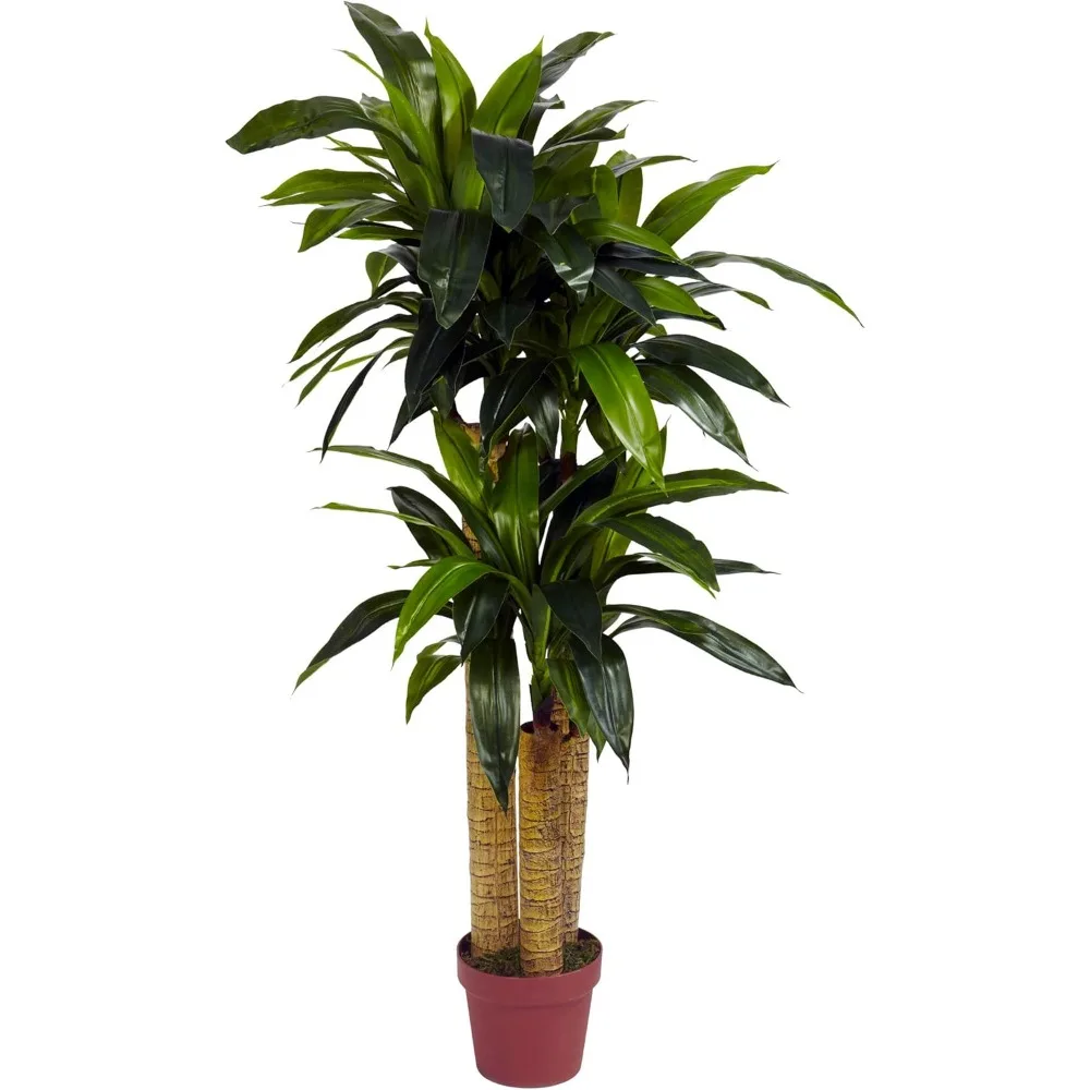 

Almost Natural 4 Feet. Corn Stem Dragon Blood Tree Silk Plant (True Touch)