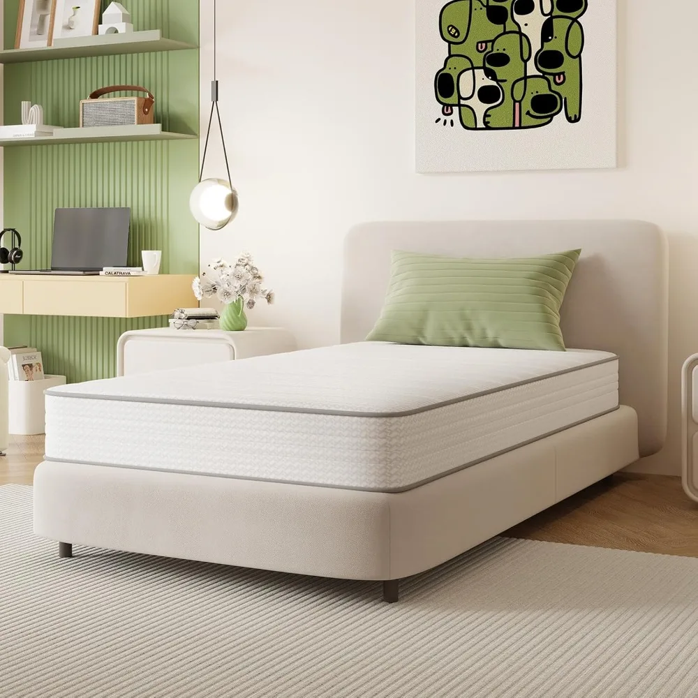 مرتبة مزدوجة مقاس 6 بوصات في صندوق مع Smarts ™ تقنية الملف لتخفيف الضغط ودعم الرغوة القطيفة المتوسطة #1