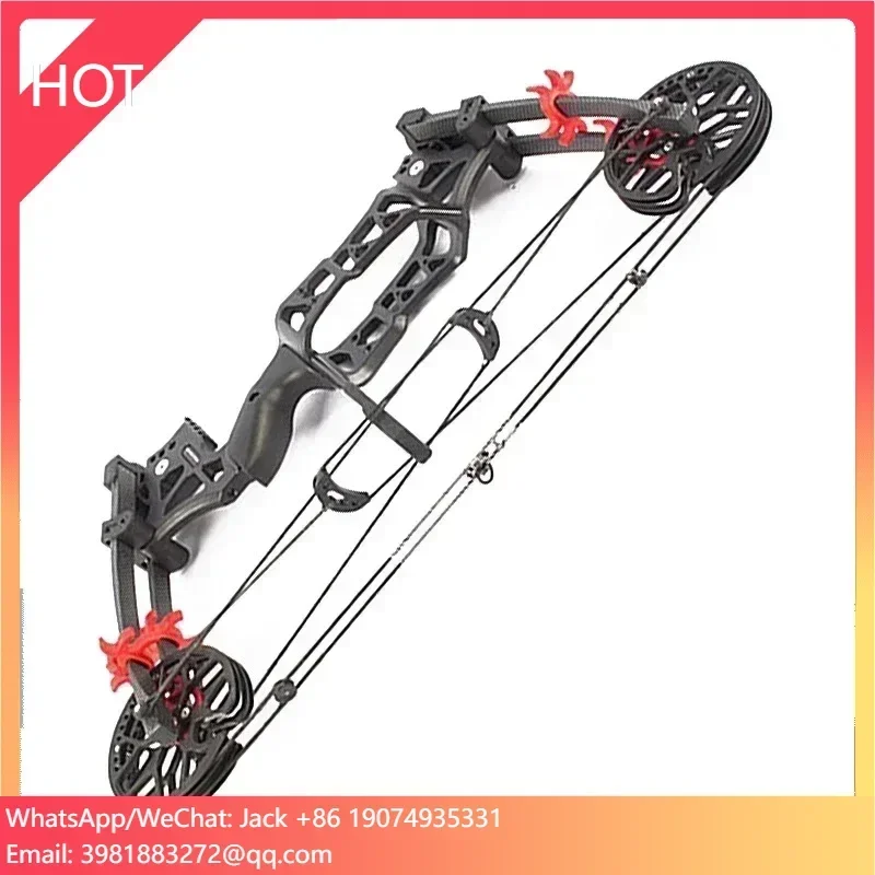 

M109E Compound Bow Arrow Dual Use Archery Bow and Arrow Hunting Left Handed 60 LBS Archery Steel Ball Composite Bow