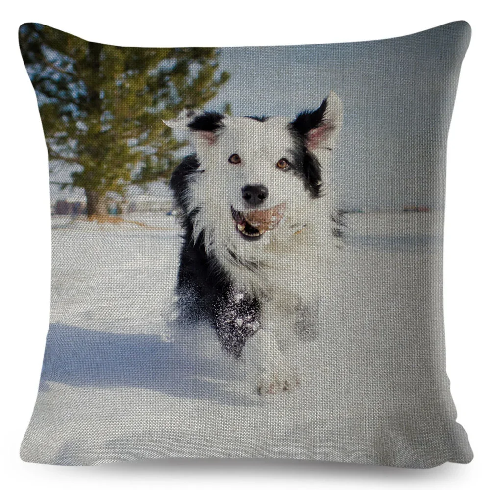 Funda De CojíN Con … - image