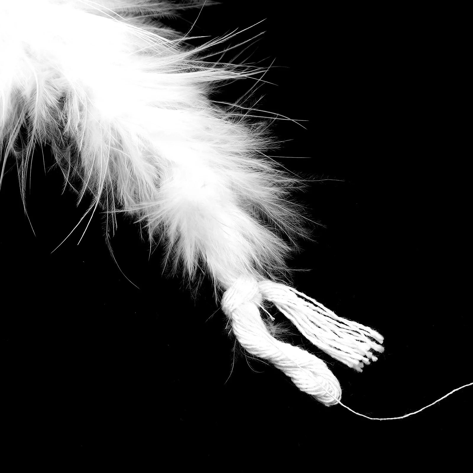 

2Pcs Plumes Boa Natural Trim for DIY Clothing Craft Fancy Dress Cosplay Stage Performance Carnival Decoration