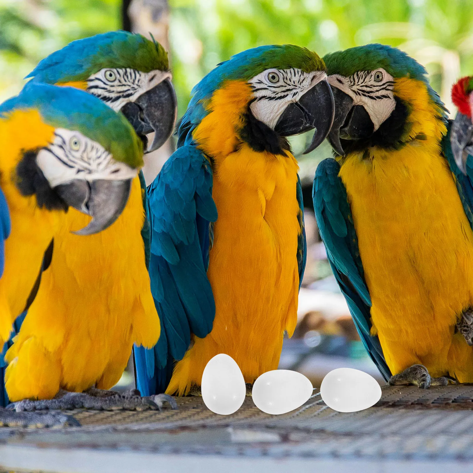 

30 Pcs Parrot Fake Eggs Pigeon Decoys Control Breeding Dove Dummy Artifical Tools