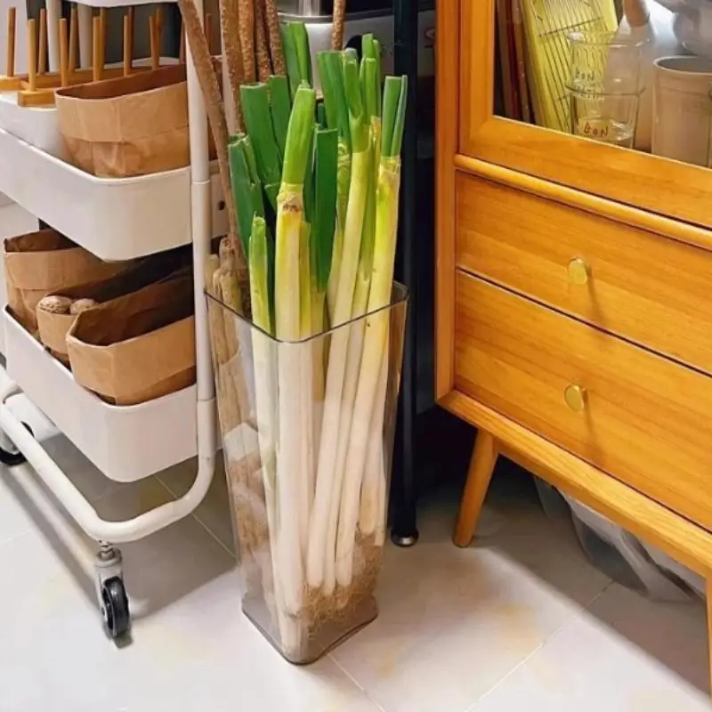 

Kitchen Focused Plastic Storage Box for Green Onions, Sealed Spaghetti Preservation, Food Holder Container