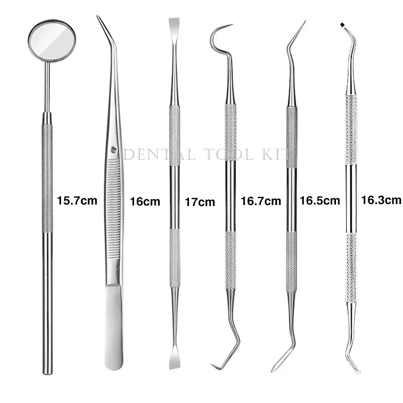 Dental Teeth Cleaning Tool Kit Oral Mirror Forceps Calculus Scraper 6pcs Stainless Steel Silver Dental Instruments