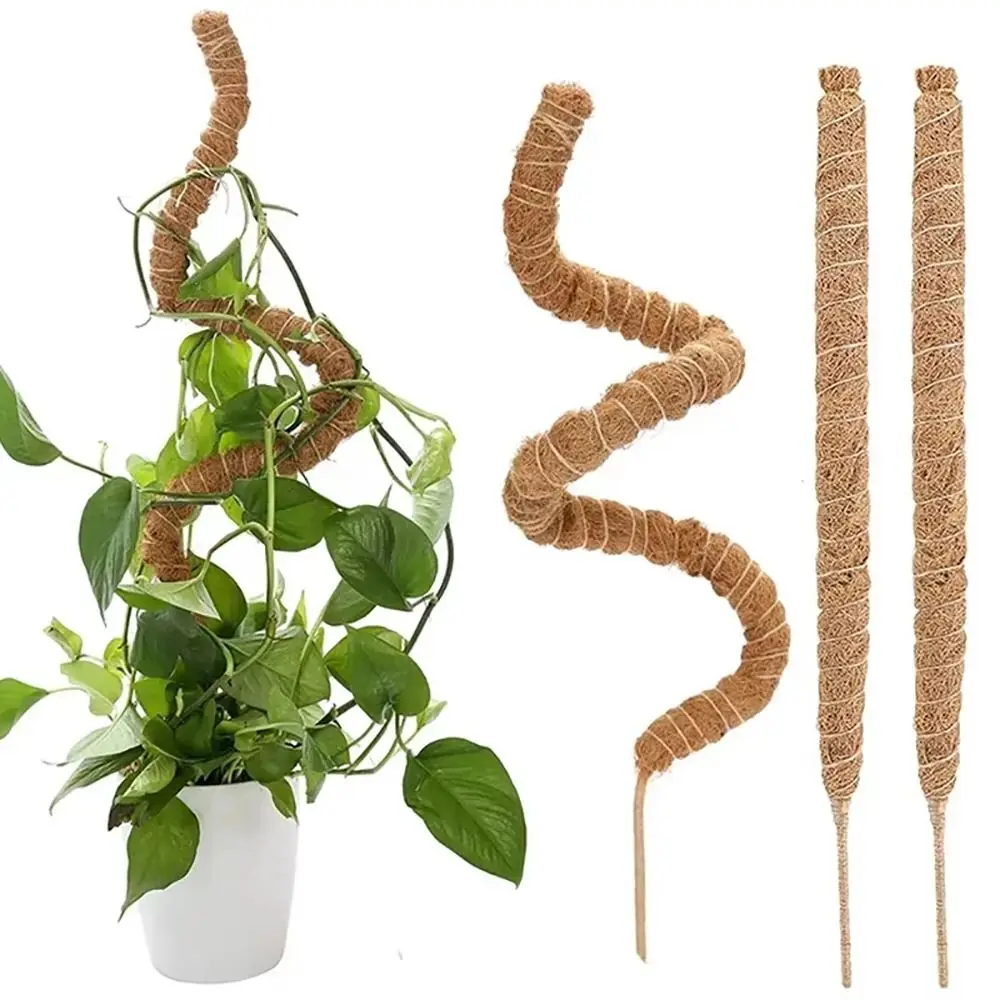 1Pcs Coconut Shell Moss Palm Cane Coir Totem Poles Stretch Gardening Coconut Rod Plant Climbing Frame Bendable 60/110cm view 5