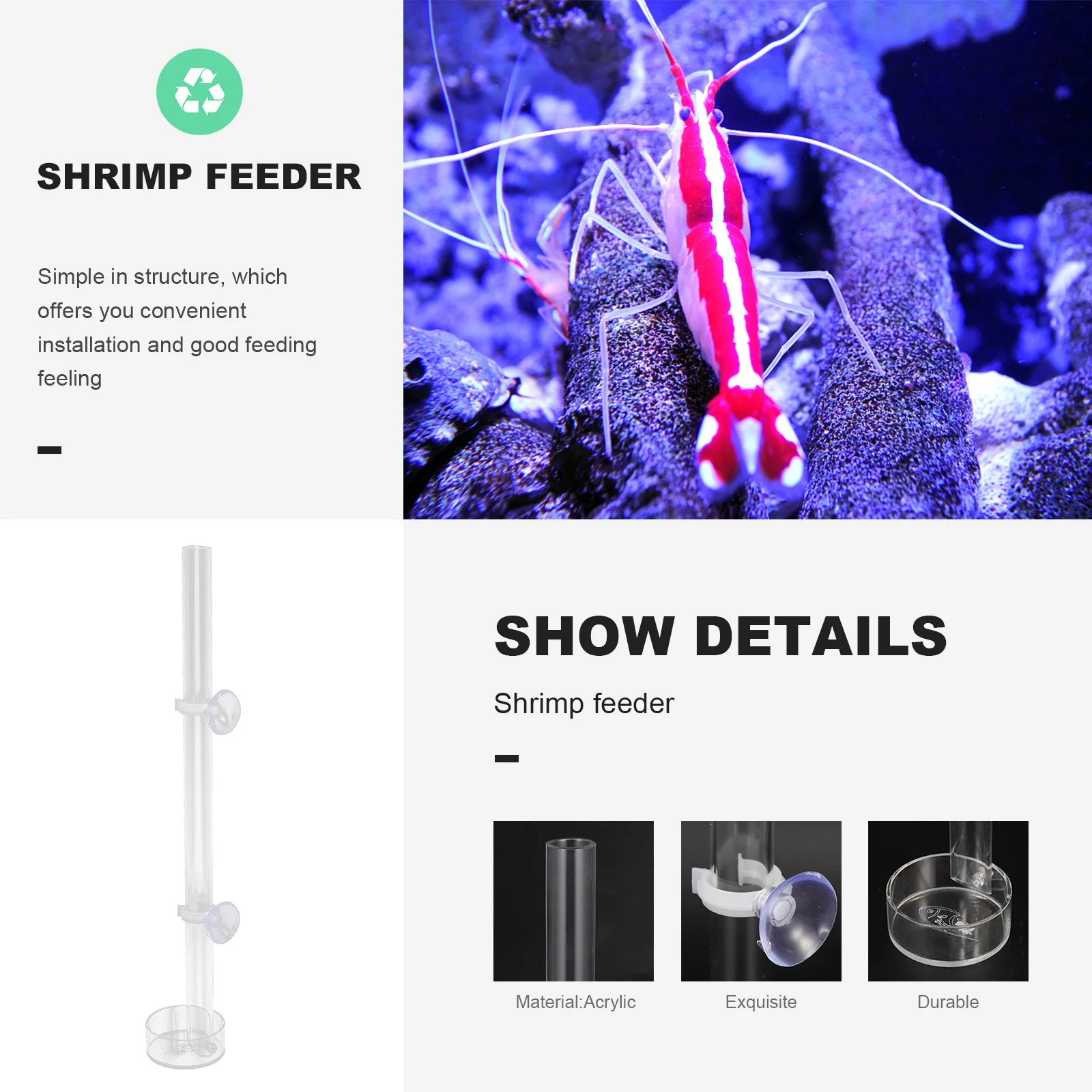 

1Set Shrimp Feeder Tube Aquarium Acrylic Feeding Bowl Suction Cup Fish Tank Shrimp Food Holder Small Fish Feeding Tool