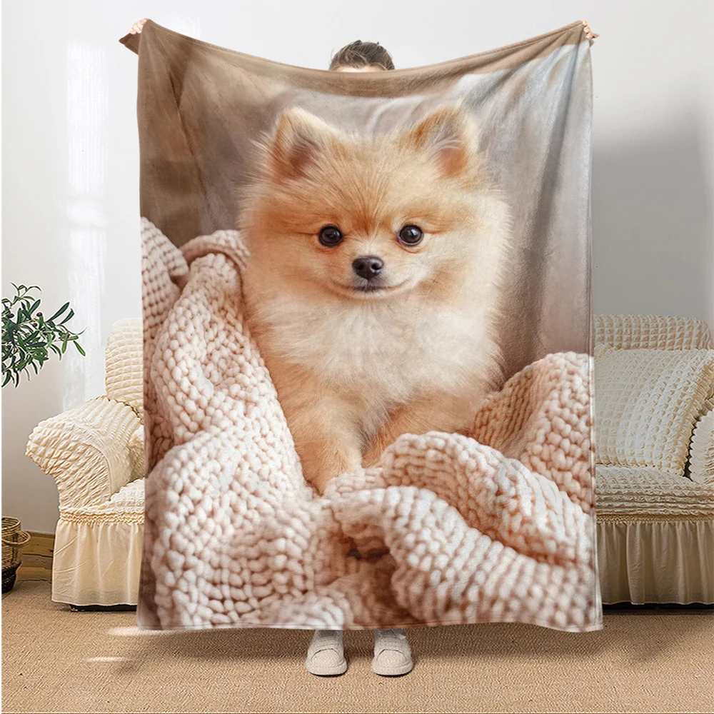 

Pomeranian-Printed Cozy Blanket , Warm and comfortable throw blanket sofa bed sofa camping trip, the best gift.