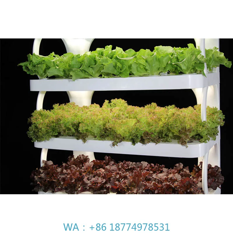 

System Smart Hydroponic MachineHydroponic Indoor Plant Growth