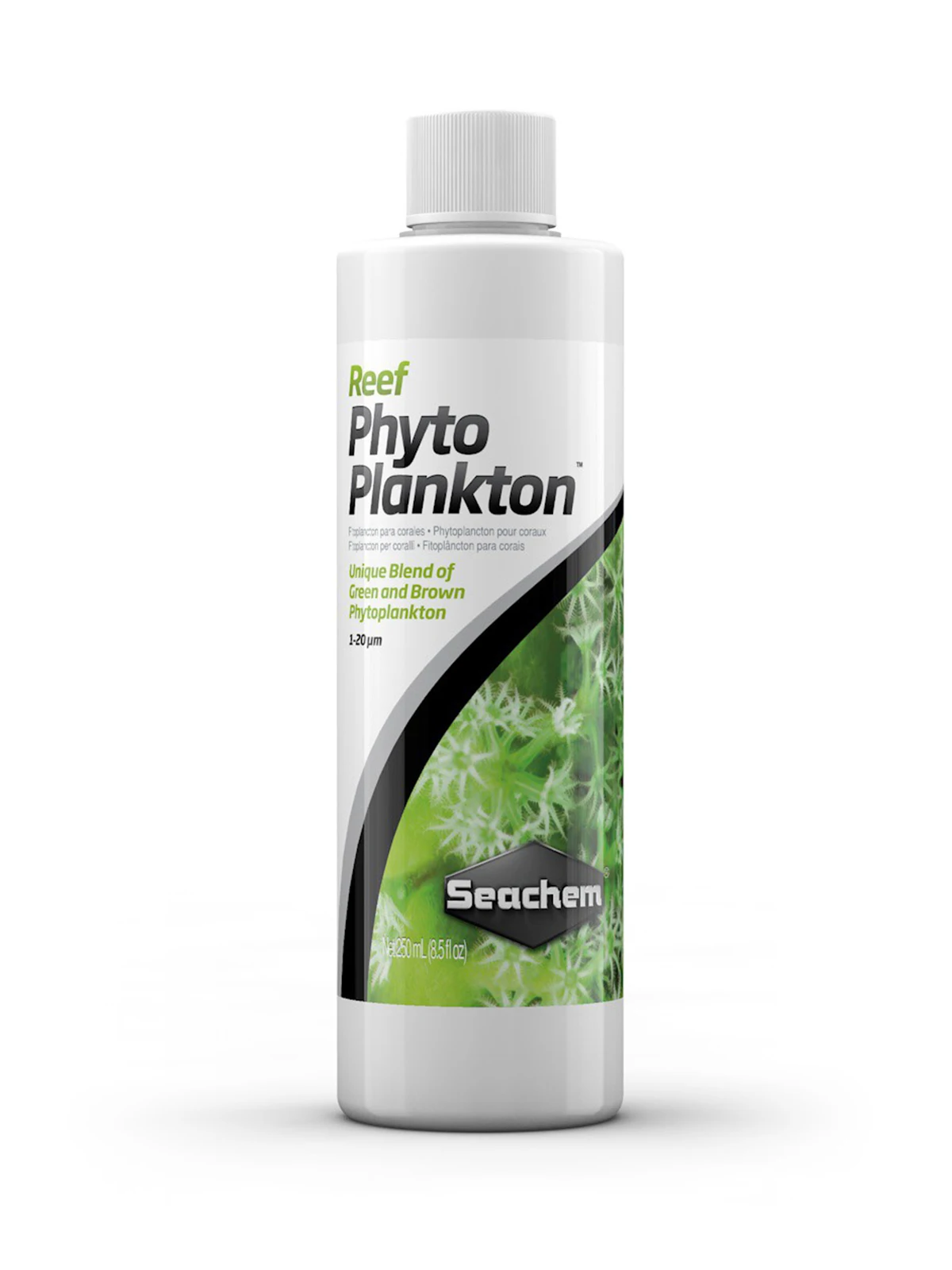 Green and brown marine phytoplankton coral food