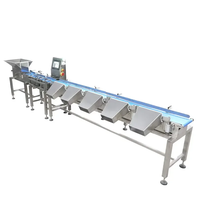 Touch Screen Automatic Conveyor Belts Checkweigher Machine with Multi Weight Sorting Grading