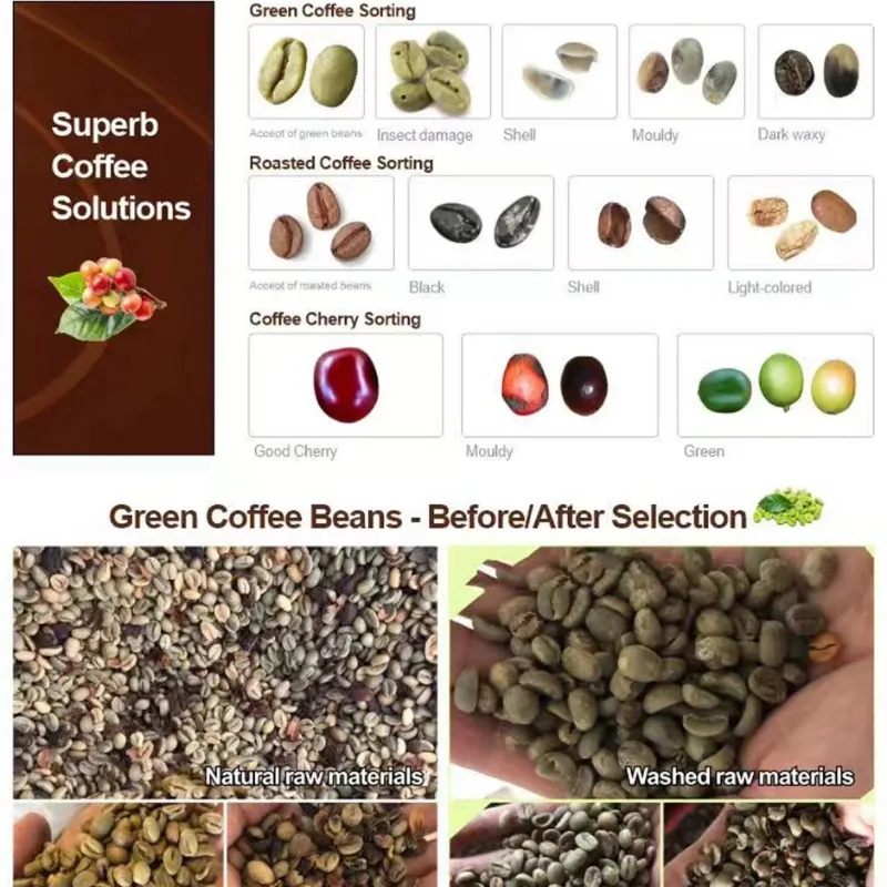 Optical Color Sorter Bean Colour Sorter Sorting Raw Coffee Color Selector/Grader Machine Customized