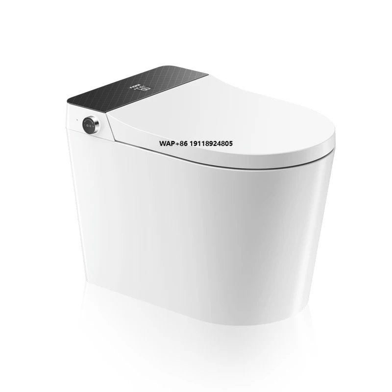 Automatic Intelligent Smart Toilet Bathroom One Piece Bidet Toilet with Remote Control