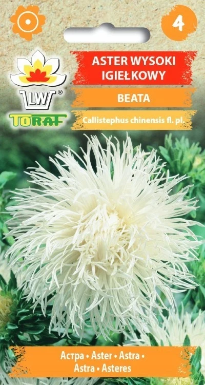 ASTER NEEDLEFLOWER BEATA BLOEMZAADEN TORAF 424