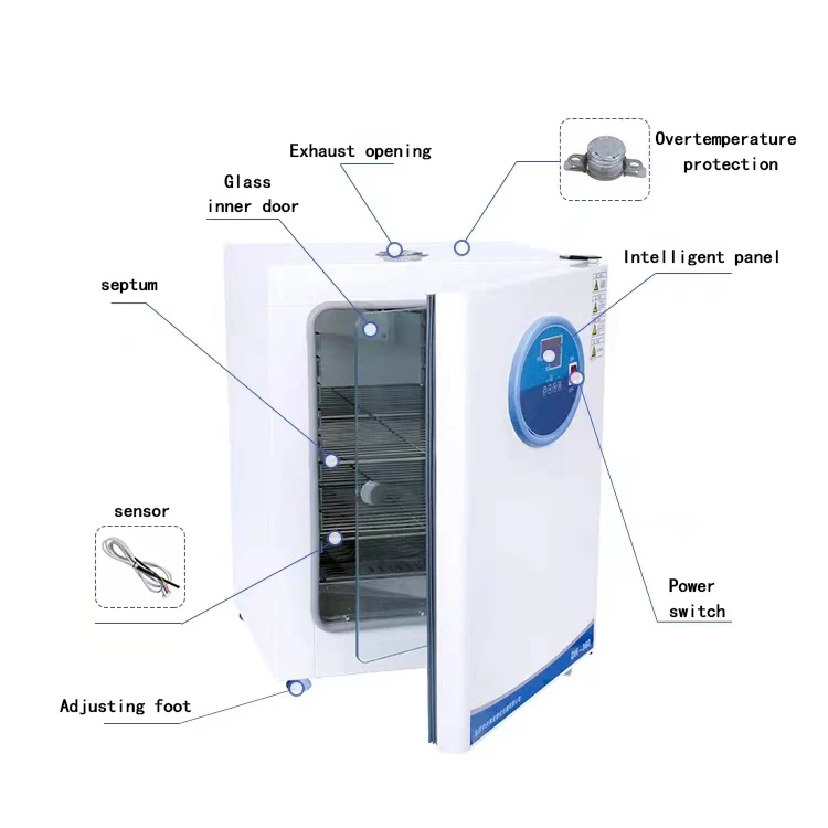 made in China for storage of microbial culture plant breeding and cultivation samples Electric thermostatic incubator