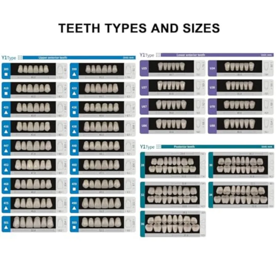 Acrylic Resin Fake Teeth Synthetic Denture Resin Teeth Complete Teeth 84PCS/Box for Halloween Party Replacement A3 425 U37 32