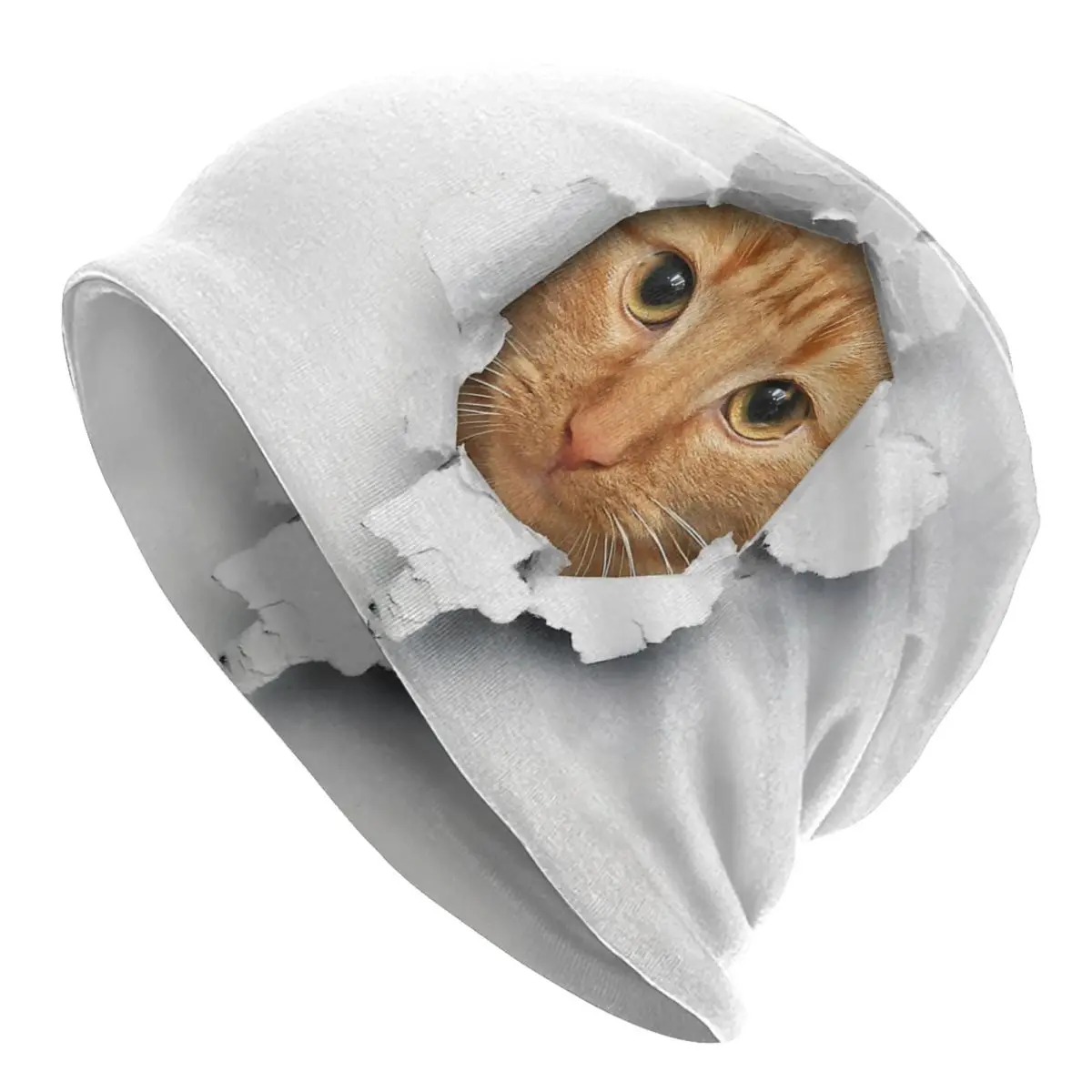 

Милые шапки в виде кошки, стильные осенне-зимние шапочки для улицы, шапки, весенние теплые шапки двойного назначения, вязаная шапка