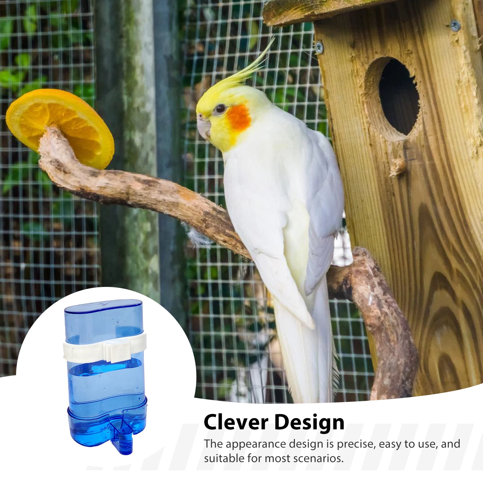 Automatischer Vogel-Wasserspender Vogel-Trinknapf Transparenter Vogelkäfig-Wasserbrunnen für Wellensittiche, Nymphensittiche, Liebhaber-Vogelchen und Kanarienvögel – Detail 6