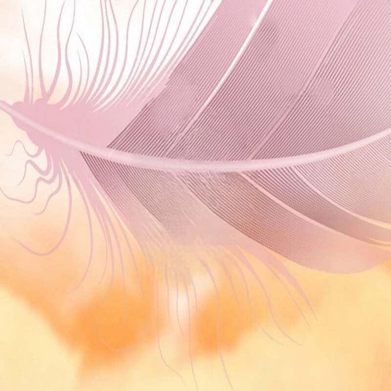 Simple and Modern hand-painted dreamy feather sky TV luxurious home decoration background wall